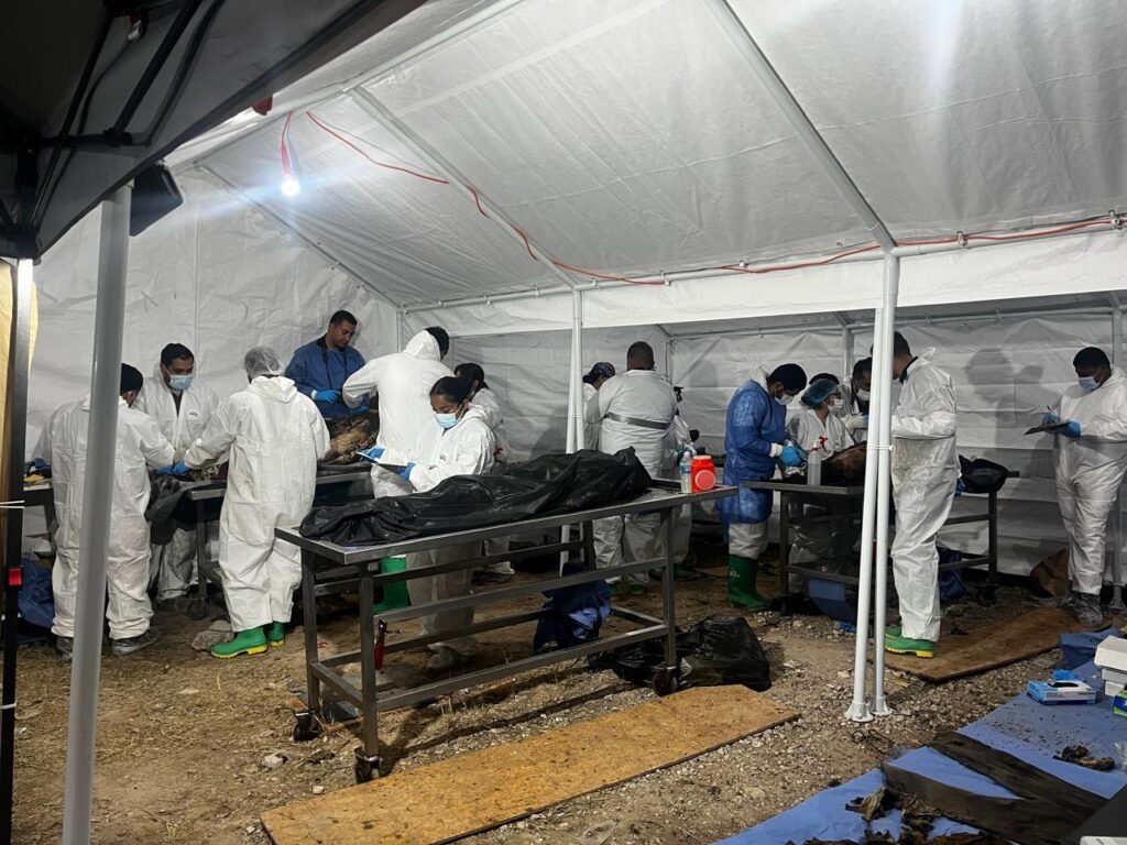 #Columna | Voz en Off: Indignación por liberación de dueño de funeraria Plenitud